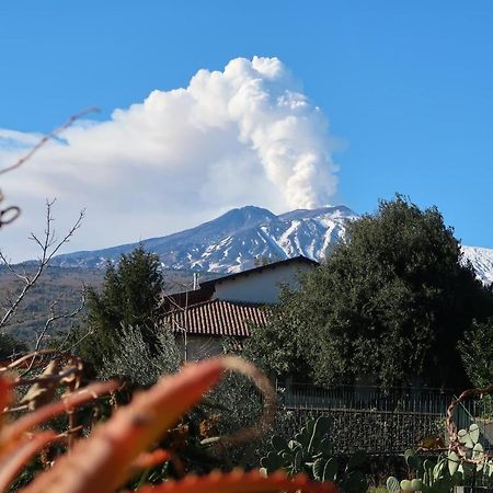Agriturismo Etna-Mare Piedimonte Etneo Ngoại thất bức ảnh