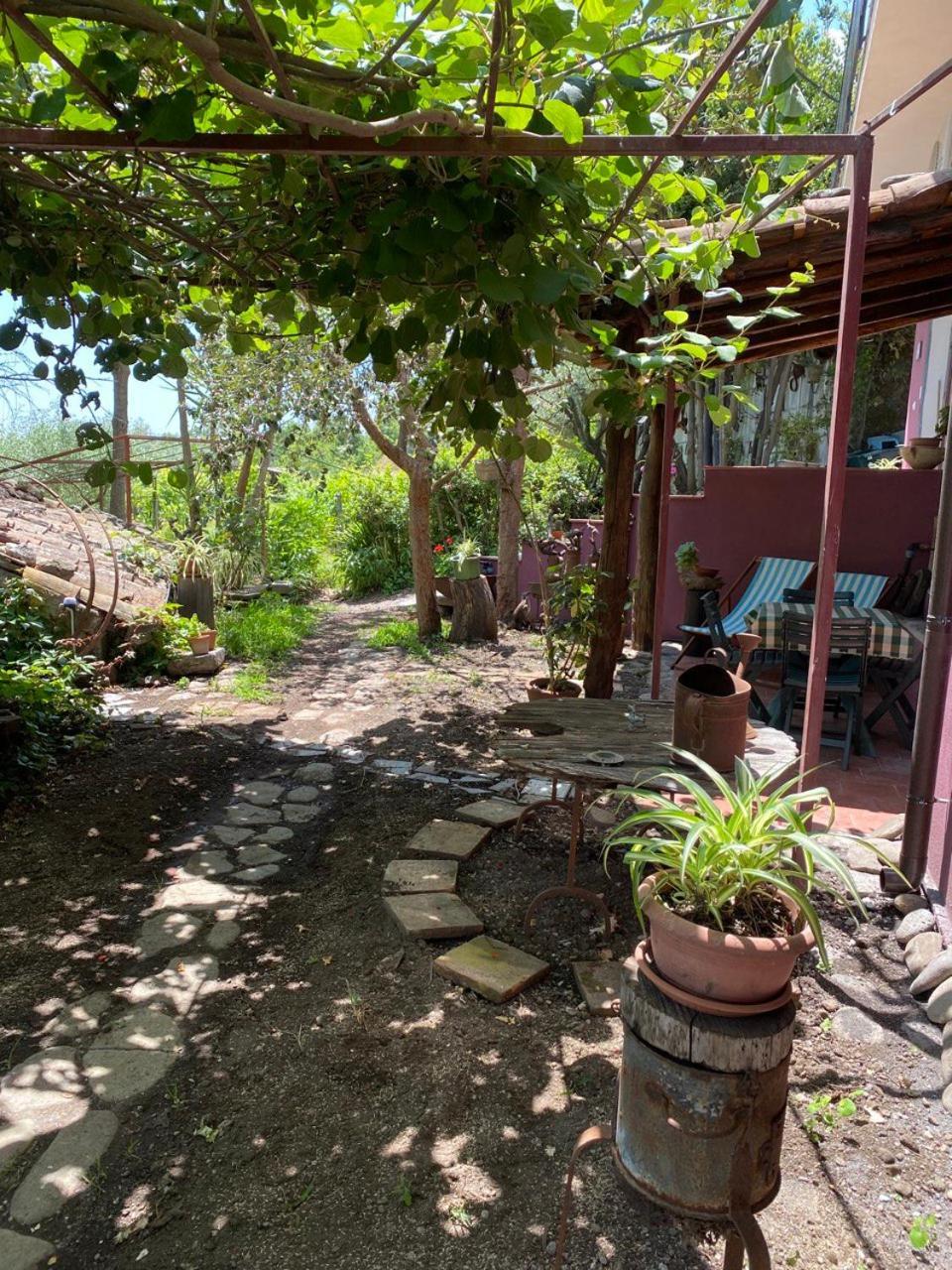 Agriturismo Etna-Mare Piedimonte Etneo Ngoại thất bức ảnh