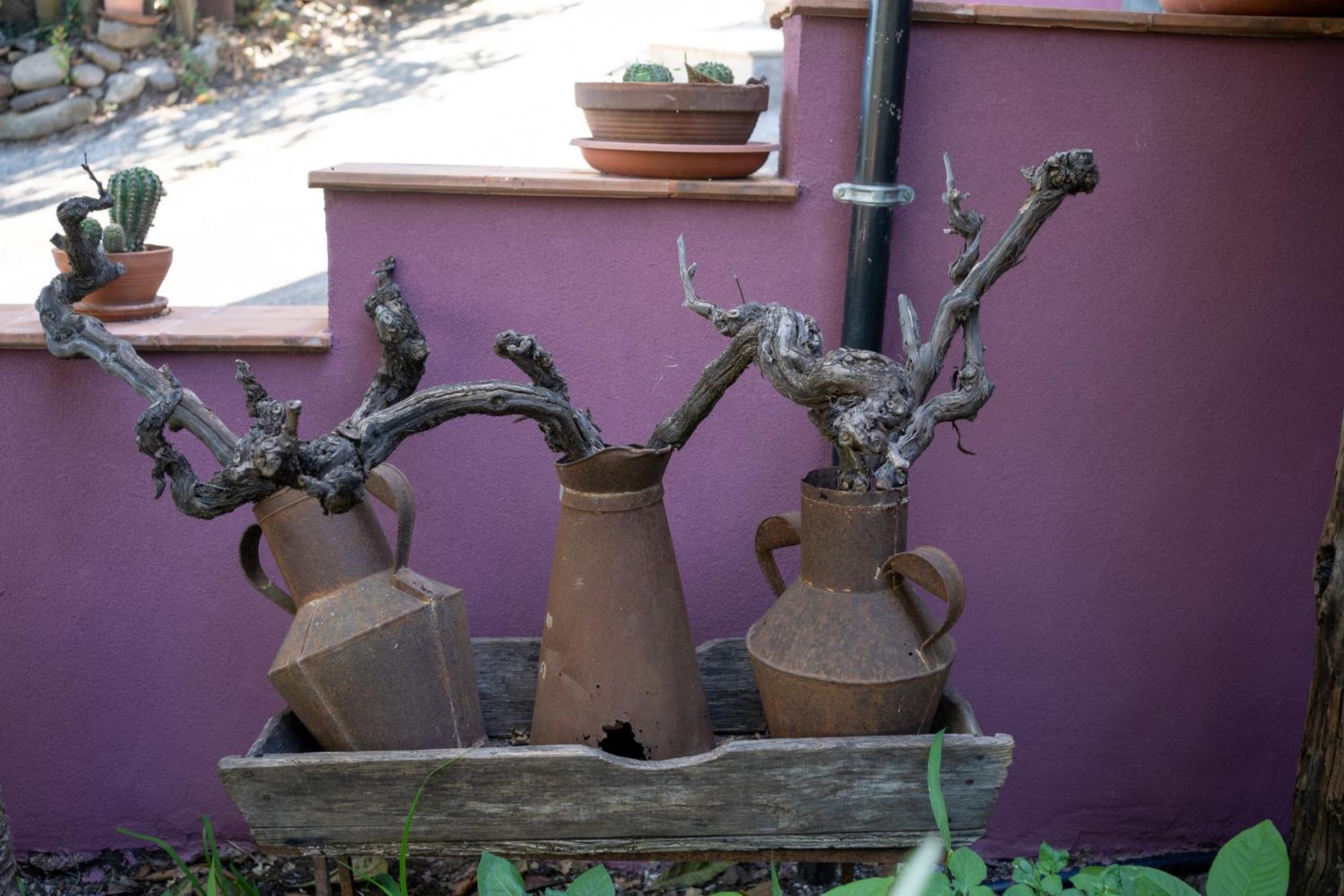 Agriturismo Etna-Mare Piedimonte Etneo Ngoại thất bức ảnh