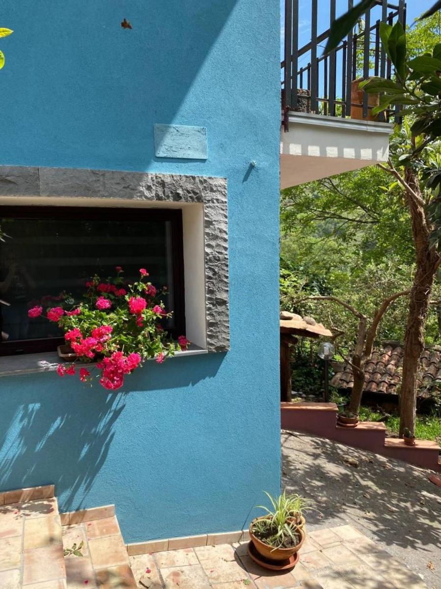 Agriturismo Etna-Mare Piedimonte Etneo Ngoại thất bức ảnh