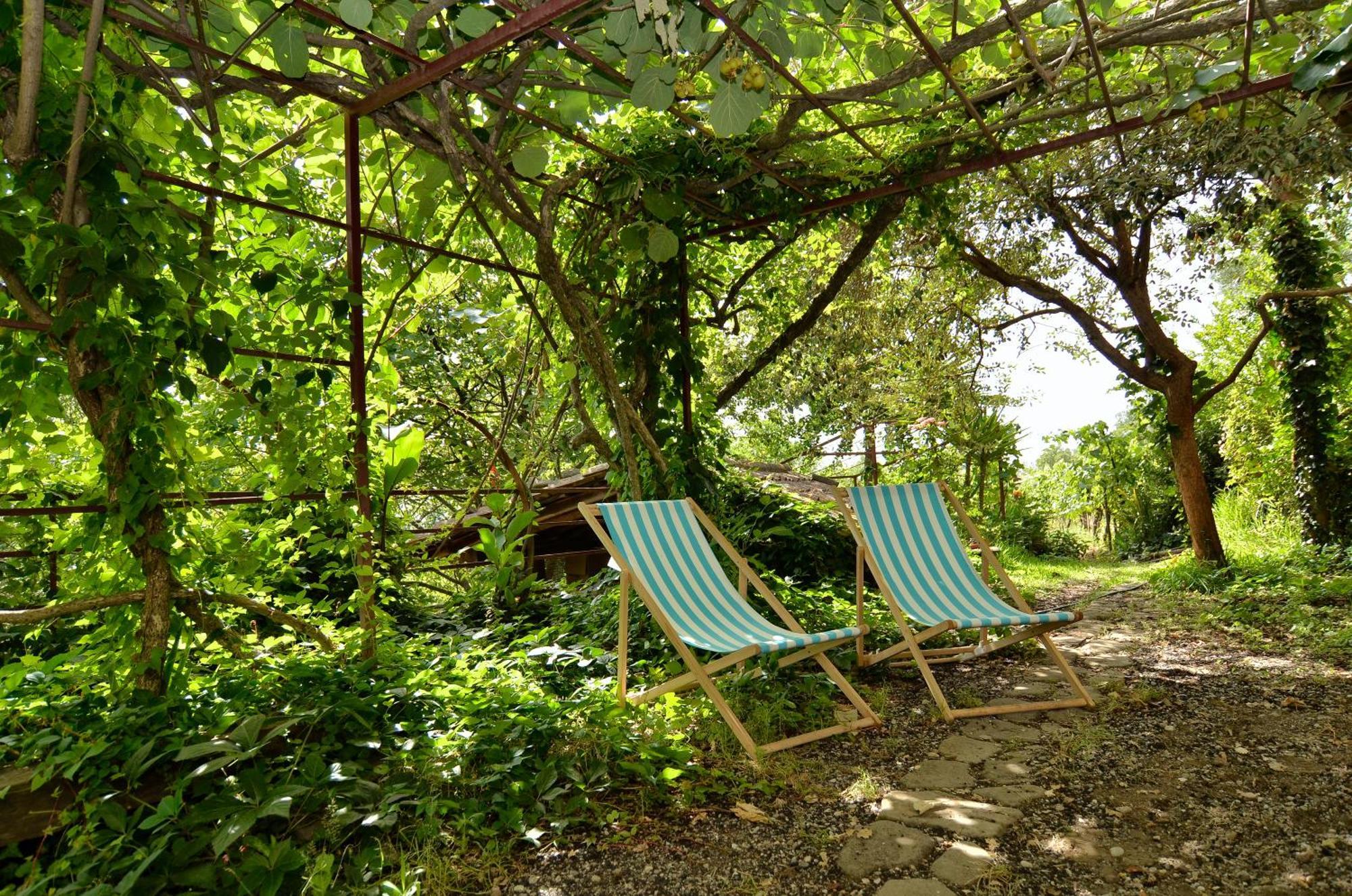 Agriturismo Etna-Mare Piedimonte Etneo Phòng bức ảnh