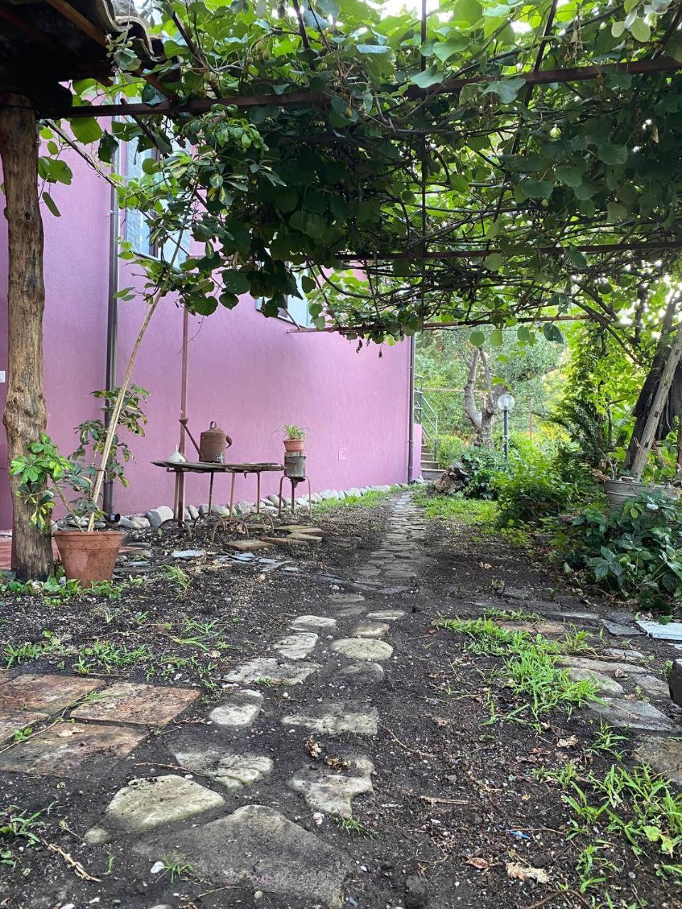 Agriturismo Etna-Mare Piedimonte Etneo Phòng bức ảnh