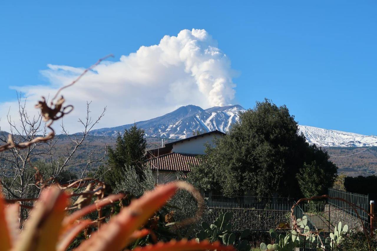 Agriturismo Etna-Mare Piedimonte Etneo Ngoại thất bức ảnh